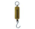 Spring Scale, Hanging, x , 12.5kg